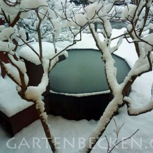 Winter 008
